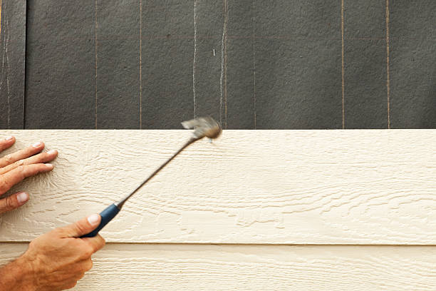 Best Siding Painting and Refinishing  in Salina, OK